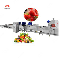 Roestvrijstalen Kersentomaat Schone Verwerkingsapparatuur Voor Het Wassen Van Fruit En Plantaardige Uienschilreinigingsmachine