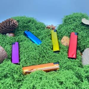 VENTE FLASH - Briquet coupe-vent à flamme torche pour cigarettes, design cartoon, plastique, rechargeable au butane, utilisation en cuisine, logo personnalisé - Product Image 4