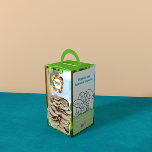 Boîte d'emballage en carton ondulé pour kit <span class=keywords><strong>de</strong></span> culture <span class=keywords><strong>de</strong></span> champignons, boîtes en papier pour la culture <span class=keywords><strong>de</strong></span> champignons d'huître biologiques - Product Image 6