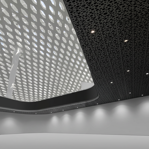Panneaux de façade en aluminium modernes avec finition anodisée pour applications commerciales 70 pouces+, design écologique et étanche, garantie 5 ans - Product Image 2