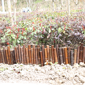 Bordure <span class=keywords><strong>de</strong></span> <span class=keywords><strong>jardin</strong></span> en bambou décorative <span class=keywords><strong>de</strong></span> petite taille en gros <span class=keywords><strong>de</strong></span> haute qualité - Product Image 2