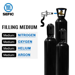 Cilindro de gas de nitrógeno de pureza 99.99% recargable estándar SEFIC TPED 40L 47L 50L - Product Image 2