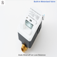 Compteur d'eau intelligent à prix d'usine NB-IoT, compteur d'eau ultrasonique à corps en laiton, compteur d'eau numérique avec contrôle de vanne, débitmètre d'eau OEM