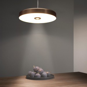 Cho văn phòng thương mại treo đèn chiếu sáng LED trang trí sắt trần ánh sáng mặt dây chuyền/Cửa hàng trong nhà treo ánh sáng/ánh sáng mặt dây chuyền - Product Image 1