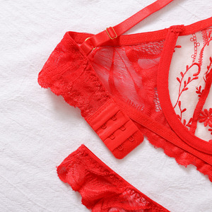 Nuovo Set di <span class=keywords><strong>Lingerie</strong></span> Sexy <span class=keywords><strong>Francese</strong></span> Personalizzato, Reggiseno e Mutandine Ricamati in Rete Trasparente, 2 Pezzi - Product Image 5