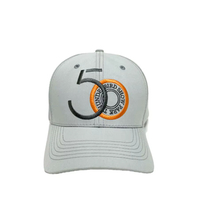 Gorra de Béisbol de Alta Calidad al por Mayor, Personalizada con Logotipo Bordado en 3D, Gorra Deportiva Estructurada de Sarga de Algodón - Product Image 1