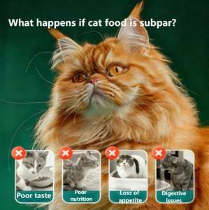 Alimento Seco para Gatos Sin Granos y Alto en Proteínas con Nutrición Equilibrada y Apoyo para la Salud de las Articulaciones, Calidad Premium - Product Image 3