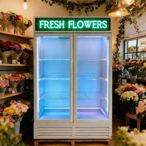 Vente en gros de refroidisseurs de fleurs de haute qualité avec grandes portes vitrées doubles et éclairage LED pour vitrines à fleurs - Product Image 6