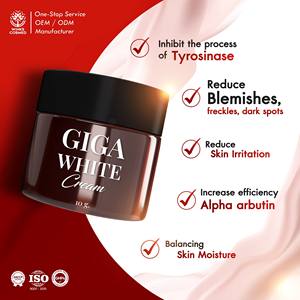 Crème hydratante pour le visage biologique à étiquette privée OEM ODM, anti-âge, éclaircissante, lotion pour le visage pour tous les types de peau, soin de la peau - Product Image 4