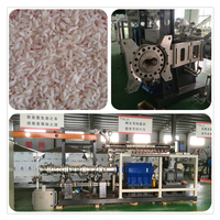 Riz artificiel complètement automatique faisant la machine d'extrudeuse