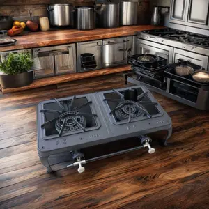 Famous Cast Iron Dual Burner Gas Cooker For Household Hotel Outdoor Use