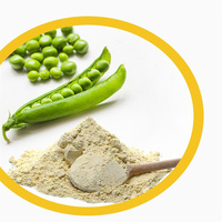 Complément alimentaire de fibres alimentaires biologiques naturelles non-OGM, fibres de pois solubles, fibres de pois, poudre de pois