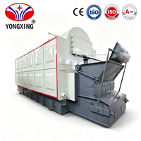YG DZL Low Industrial Fully Automatic Biomass Wood Coal Fired Economically Stainless Steel Shell Steam Boiler Tekstil Makanan