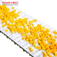 Hongsbelt 100b-hd Modulaire Plastic Transportband Modulaire Riem Voor Groente-En Fruitverwerkende Restaurants