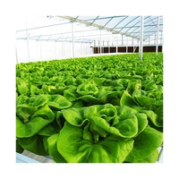 Tuyau en PVC hydroponique 75x50mm faible coût petite taille canal de culture tuyau en PVC de qualité alimentaire NFT hydroponique 75x50mm Tube pour la culture