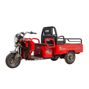 <strong>Mini</strong> <strong>Truck</strong> <strong>Cargo</strong> <strong>Tricycle</strong> <strong>Scooter</strong> Small Foldable <strong>Tricycle</strong> Electric - Product Image 2