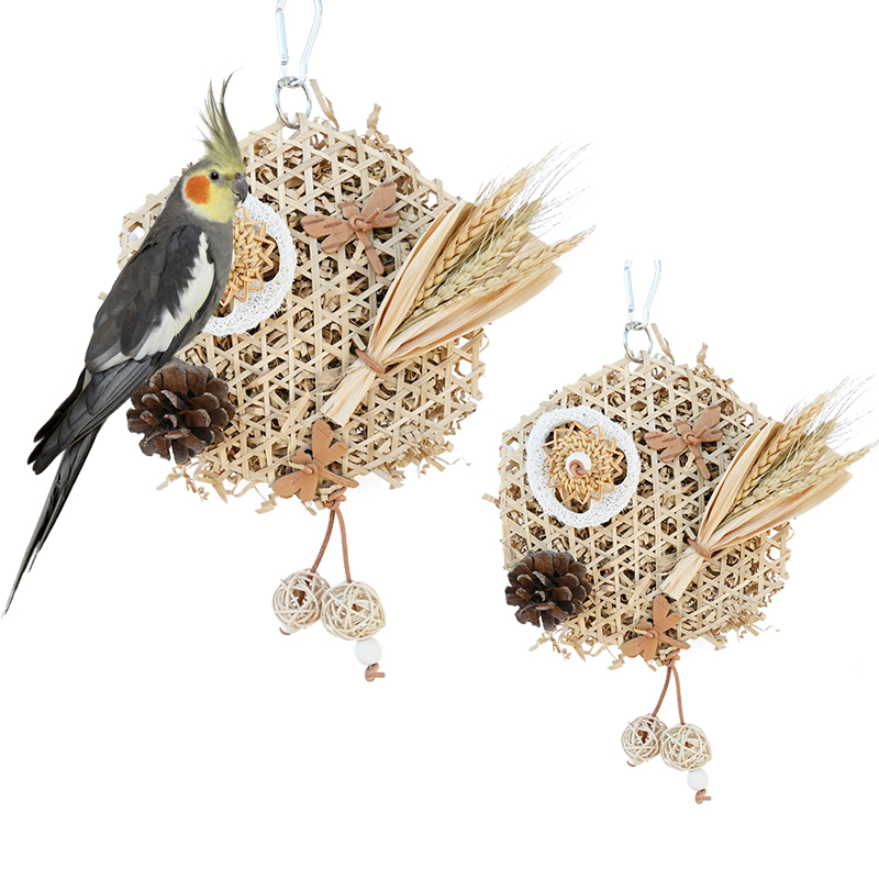 parrot toy parts forrage