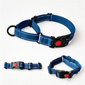 Collare da addestramento per cani OEM su misura, a controllo delicato e anti-soffocamento, con chiusura intelligente a doppio anello per Terrier di taglia piccola e media - Product Image 2