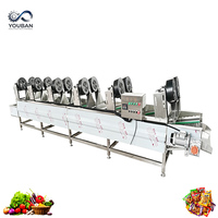 Industriële luchtblaasdroger, transportbandtype ventilatorluchtdroger voor het ontwateren van groenten, fruit en snacks in zakjes