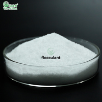 Fabricant OEM de polyacrylamide (PAM) WaveClean pour le traitement des eaux usées et de l'eau