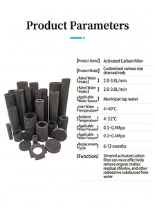 Filtres en carbone fritté sur mesure disponibles en types anti-calcaire, alcalins, riches en hydrogène et riches en strontium, idéaux pour les maisons et les caravanes. - Product Image 5
