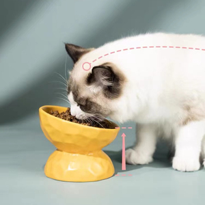Tigela de Cerâmica Popular Ecológica Moderna com Suporte Elevado Estável para Ração de Gatos e Cães Pequenos, Capacidade de 200ml, Formato Arredondado - Product Image 1