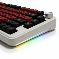 Clavier mécanique à commutation à chaud filaire/sans fil 2,4 G RVB disposition 65 % joint personnalisé clavier de jeu
