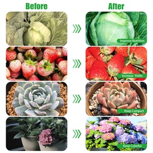 Nhà Máy COB <span class=keywords><strong>PAR20</strong></span> Phát Triển Ánh Sáng Bền Sử Dụng Giá Thấp 12W Nhà Máy Trong Nhà Phát Triển Ánh Sáng - Product Image 6