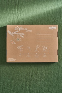 Calendario de Adviento de Bombas de Plantas Silvestres, Caja de Regalo con <span class=keywords><strong>Cuenta</strong></span> Regresiva para las Fiestas, Kit de Plantación de Jardín DIY, Se Acepta OEM - Product Image 3