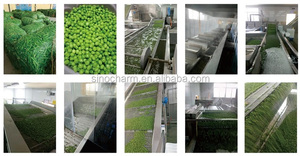 7 - 11 cm SANS OGM Vert Surgelé IQF <span class=keywords><strong>Pois</strong></span> de Jardin - Product Image 6