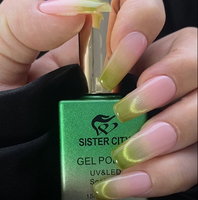 Vernis à ongles gel UV magnétique effet œil de chat 15 ml en flacon, formule non toxique, caractéristiques écologiques pour le nail art DIY