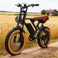 Vélo électrique rétro 20 pouces à pneus larges, stock en gros, entrepôt UE, certifié EN15194 UL2849, faible MOQ, approvisionnement direct usine pour la conduite tout-terrain adulte