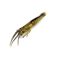 Leurre de pêche aux crevettes en plastique souple eau douce salée vente en gros de leurres de pêche aux crevettes souples