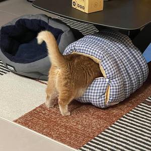 Removable and washable cat <b>bed</b>, suitable for all seasons, enclosed pet house, small dog <b>bed</b>, thickened for winter use, for cats - Product Image 5