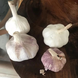 Aglio Fresco Biologico Bianco Pelato di Shandong, Qualità Alimentare, Conservazione Refrigerata - Product Image 1