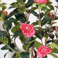 Planta Artificial de Camelia en Maceta de Plástico para Interiores y Exteriores, Decoración de Oficina, Jardín y Hogar, Plantas Artificiales