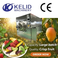 Machine de séchage de fruits par lyophilisation sous vide entièrement automatique KLD PLC en acier inoxydable SUS304