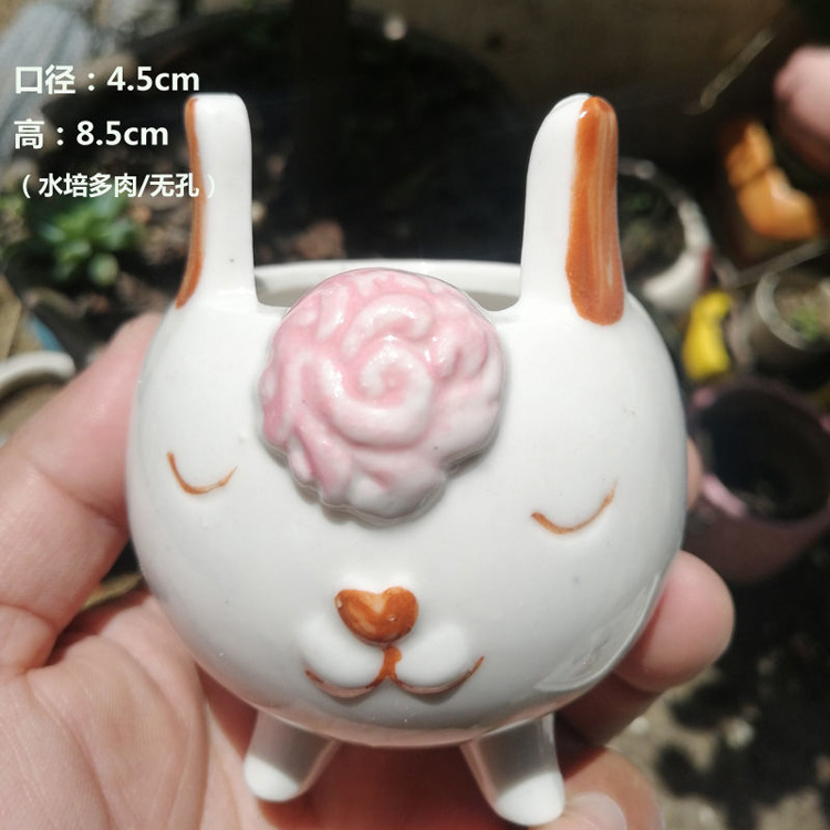 Hc-006 lamb without holes
