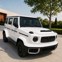 Mini SUV électrique tout-terrain robuste pour adultes, conduite à gauche, 5 portes, automatique, véhicule électrique à énergie nouvelle, prix direct usine