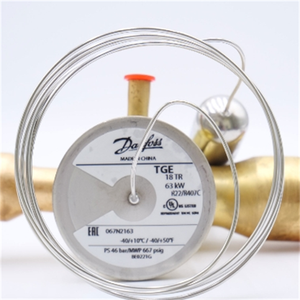 TGEX ตัวควบคุมการขยายตัวด้วยความร้อน - รุ่น R22 - 067N2163 - Product Image 2