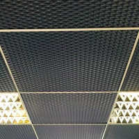 Panneau de plafond suspendu décoratif en métal expansé aluminium/acier moderne pour aéroport, hôpital, centre commercial, hôtel