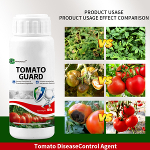 <span class=keywords><strong>Engrais</strong></span> hydrosoluble résistant aux maladies pour tomates, améliore la résistance aux maladies et augmente le rendement - Product Image 3