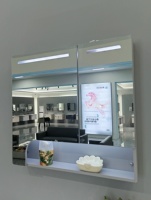 Meuble de salle de bain mural WJL de luxe moderne, résistant à l'humidité, en acier inoxydable, avec miroir et lavabo en céramique