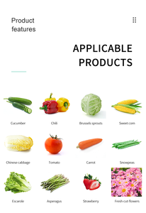 Petite machine de séchage de fruits de mer de la meilleure qualité <span class=keywords><strong>10</strong></span> <span class=keywords><strong>Kg</strong></span> lyophilisateur de séchage d'aliments à usage domestique avec <span class=keywords><strong>pompe</strong></span> à vide - Product Image 5