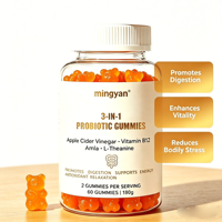 Gummies probiotiques au vinaigre de cidre de pomme avec vitamine B12, Amla et L-Théanine pour la digestion et la réduction du stress corporel