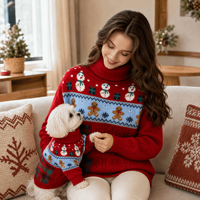 Ensemble de pulls personnalisés ODM OEM en gros pour Noël, col roulé, assortis pour animaux de compagnie et propriétaires, motif renne et bonhomme de neige