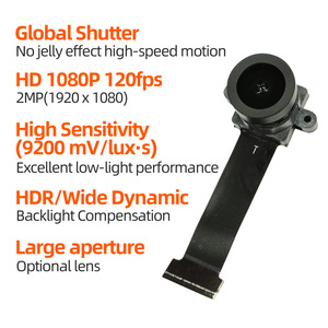 โมดูลกล้อง SC233HGS 120fps 1080P โกลบอลชัตเตอร์ ป้องกันภาพสั่นไหว สำหรับโดรน หุ่นยนต์คัดแยก และระบบหยิบจับอัตโนมัติ - Product Image 2
