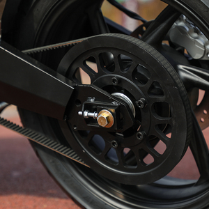 Ducat E Motorcycles, los Mejores Proveedores Chinos de Controladores Inteligentes de Onda Sinusoidal de Largo Alcance, Regulación Multivelocidad - Product Image 6