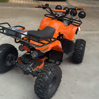 Quad électrique sans balais 500W pour adulte, buggy multifonctionnel pour la location en extérieur, sur la plage et dans les parcs d'attractions