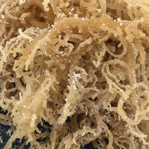 Musgo de mar de alta calidad de origen sostenible, musgo de mar seco natural, musgo de mar a granel al por mayor de Vietnam - Product Image 1